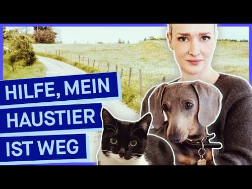 Katze oder Hund vermisst? So findet ihr euer Haustier wieder