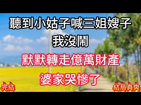 聽到小姑子喊三姐嫂子,我沒鬧!默默轉走億萬財產,婆家哭惨了.#人生感悟 #為人處世 #生活經驗 #深夜淺讀 #家庭故事 #情感