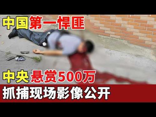 中国第一悍匪,中央悬赏500万通缉,逃过上万警察围剿,抓捕现场影像公开,群众拍手叫好【历史档案】