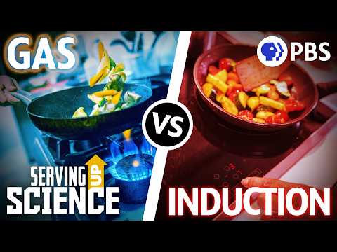 Gas vs Induction Stoves: The Heated Debate | Serving Up Science