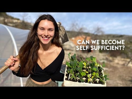 LIVING OFF-GRID in the MOUNTAINS | Abandoned land to self-sufficient homestead | Making a polytunnel