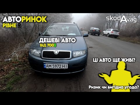 Car market Rivne 🚗 Cars from $700💸 Cheapest offers🔥 @SKODAVAG