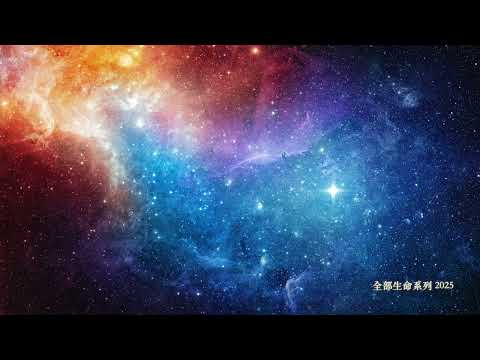 楊定一:讓生命活出全部的可能