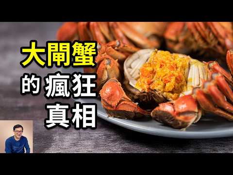 為什麼大閘蟹這麼貴?最好吃的原來不止蟹膏和蟹黃!明明是淡水蟹,竟然出生在海里,還是世界百大入侵物種!【老肉雜談】#動物 #生物 #螃蟹 #大閘蟹 #美食