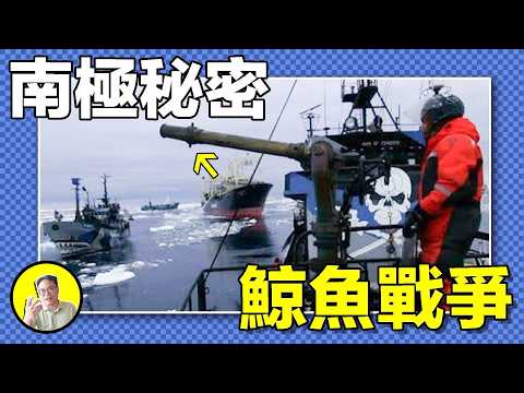 海洋的守護者還是海盜?保羅·沃森,行走在海洋的傳奇人物,戰績遍佈五海,三次被捕入獄,三次無罪釋放,核彈,海豹,鯨魚,海豚,被指責環保恐怖主義的他,有着怎樣的故事……|總裁聊聊