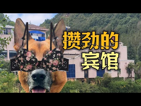 全是攒劲的节目和大狗,探索云南玉溪有过都市传说的宾馆