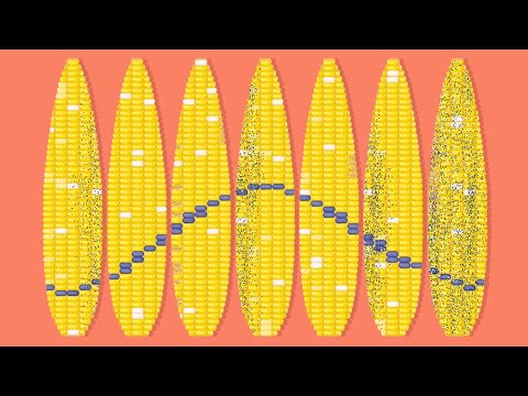Normal Objects With Extremely Hidden Rules