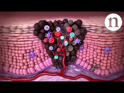 Tumour immunology and immunotherapy