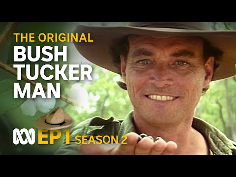 Wet season brings abundant bush tucker ๐ค ๐บ๏ธ | Bush Tucker Man | S2 EP1 | ABC Australia