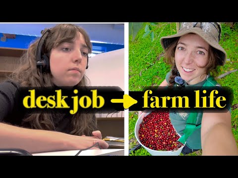 i'm living the plot of stardew valley 🌱 (I quit to work on a farm!)