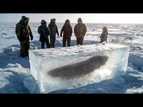 Incredible Moments Caught on Camera