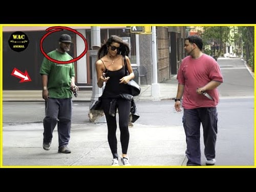 50 Real Life Superheroes Caught on Camera! #54| Animals That Asked People for Help & Kindness!