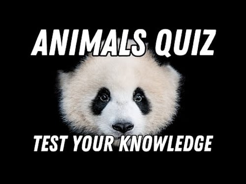 Animal World Quiz - How Many Can You Answer? 100 Questions