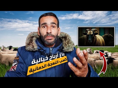 باغ تبدأ مشروع تربية الأغنام: معارفش باش غاد تبدا هاد الفيديو ليك،؟🐏🫵