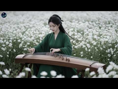 Chinese Zen Music🍃Bamboo Flute & Guzheng🍃Relaxing Music, Chines Soothing Music@SoundtoDeepSleep