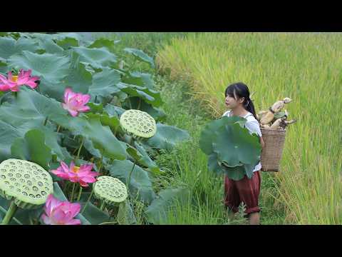 【二米炊烟】Autumn Collection 漫山的紅葉和香甜的果子,是來自大山的秋日盛宴