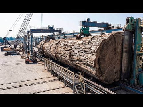 Inside the Largest Wood Sawmill Factory – How Plywood Is Made From Logs to Table (Full Process)