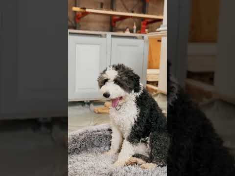 Will this room change the way we live at the Château?