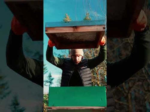 Feeding A Light Winter Colony Some Hive Alive Fondant