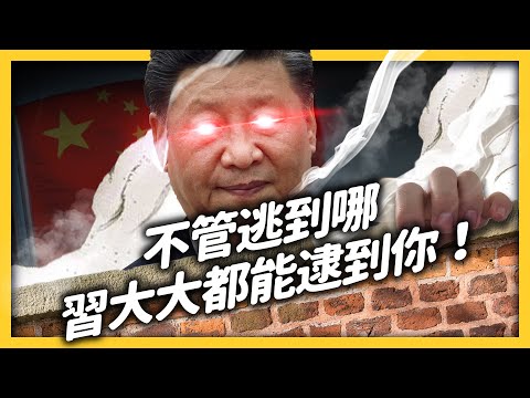 Operation Fox Hunt: How China Pressure Overseas Dissidents to Turn Themselves in