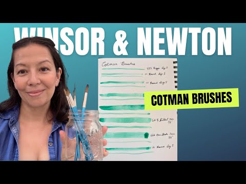 Winsor & Newton Cotman Watercolor Brushes Review And Brushstroke Comparison | The Best Sizes To Buy