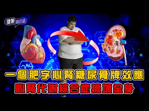 一個肥字心腎糖尿骨牌效應 心腎代謝綜合症搞壞全身 | 健康關注組 | EP434 | 心腎代謝綜合症 | 肥胖 | 糖尿病 | 心衰竭 | 腎衰竭 | 敖嘉年 | 麥詩敏 | HOY TV 77台