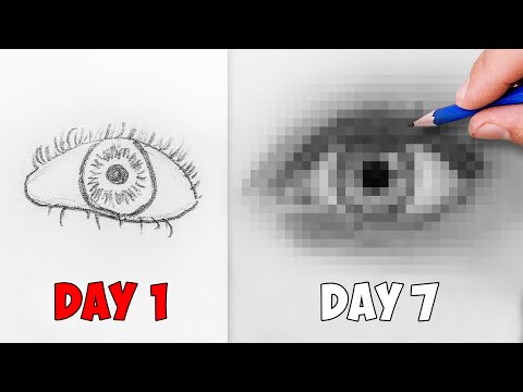 I Learned to Draw with No Experience