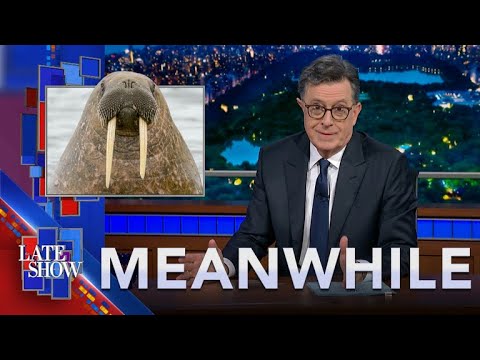 Meanwhile... Nicole & Keith Split | Beloved Walrus Penis Stolen | Rejected Vanity License Plates