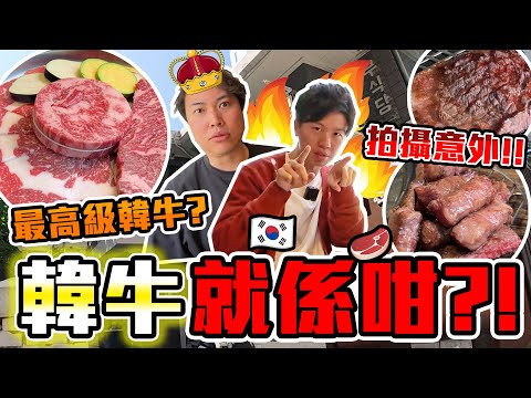 【9BT】韓國境內最高級韓牛燒肉🇰🇷⁉️最平套餐一千HKD🔥仲貴過和牛🤣身價咁貴有冇和牛待遇?有冇聽過韓牛音樂會?韓牛按摩?🤡
