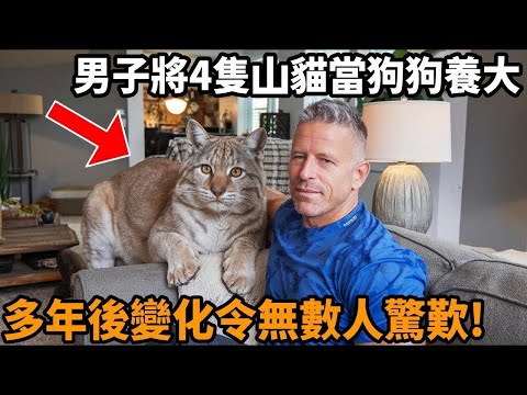 男子意外遇山貓媽媽托孤,將四隻山貓當做狗狗養大。原以為牠們會排斥人類,但沒想到牠們會對所有人「自來熟」討抱,多年後變化讓無數人驚歎不已!#山貓 #貓科動物 #狗狗 #流浪 #動物故事 #心靈飼養員