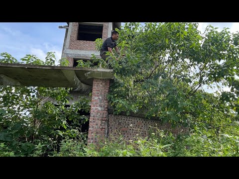 Ghost Project Sidewalk Left in Darkness for Years—Shocking Cleanup Transformation.