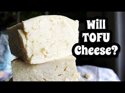 This Might Be a Terrible Idea… (Aging Tofu Like Cheese) | Mary's Test Kitchen