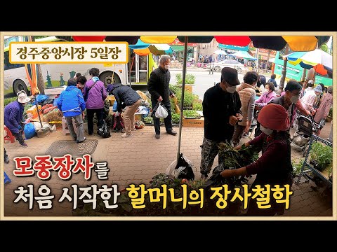 경주중앙시장의 소머리국밥 촌/마실 나온 할머니들의 수다/다슬기 할머니/모종 할머니의 장사철학/경주중앙시장/오일장