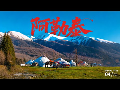自驾北疆,去追牧民转场,却遇到比电影更真实的阿勒泰