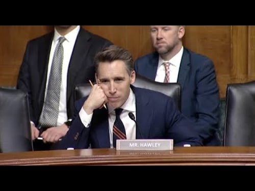 Hawley Hammers Amazon, Health Insurance Companies For Killing Competition During Antitrust Hearing