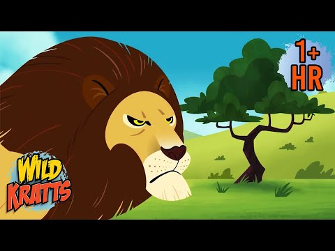 ANIMAL MYTH About Tigers and Lions | Wild Kratts | 9 Story Kids