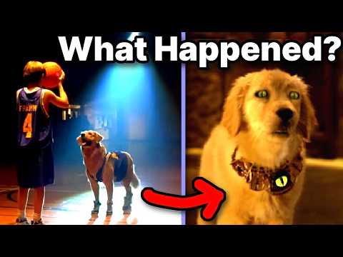 How Disney Degraded a Dead Dog's Legacy