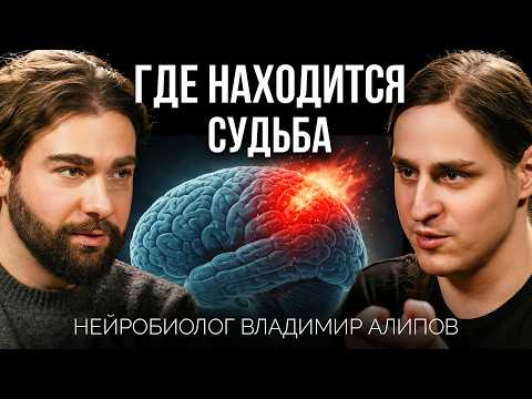 Владимир Алипов: мозг, тревога, рассеянность и возбуждение - как работает внимание