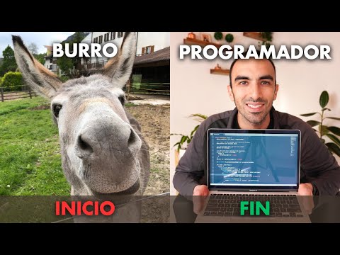 Si NO Aprendes a Programar Con ESTO: ABANDONA!