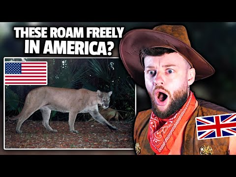 SCARED BRITISH GUY Reacts to TERRIFYING ANIMALS ONLY FOUND IN AMERICA!