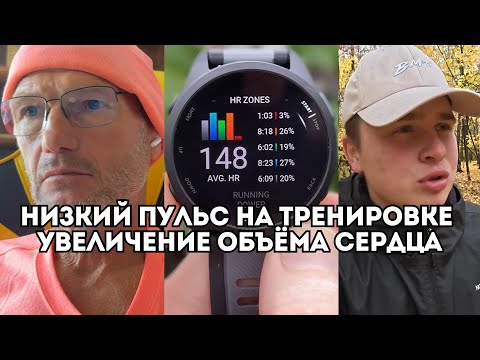 Почему нужно тренироваться на низком пульсе? Юрий Строфилов о низкой интенсивности / Иван Докукин