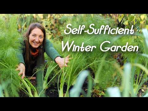 7 Must Grow Winter Vegetables for a Self-Sufficient Garden