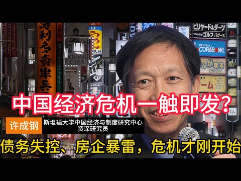 【许成钢重磅预警】中国经济正在走向制度性失速, 债务失控、房企暴雷,危机才刚开始 #许成钢 #中国经济失速 #制度性危机 #债务危机#国进民退#民营经济崩塌#内需萎缩 #中国楼市 #房地产危机