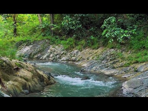 4K-HDR | Relaxing River Ambience for Sleep and Calm | Natural Water Flow Sounds to Reduce Stress
