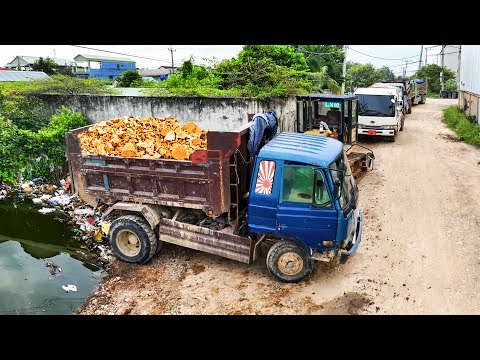 Perfectly Start New Project!! Bulldozer & Truck 5T Push Rock Siol Into Water Filling Flooded Land