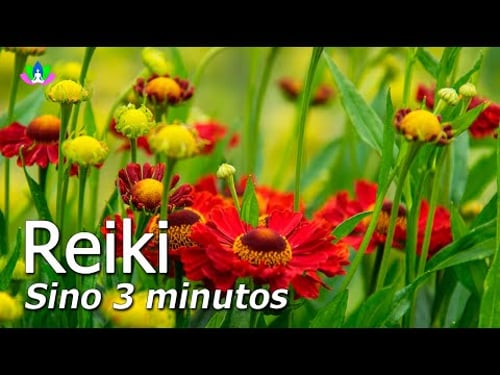 Reiki 3 minutos com Sino, Limpa as Energias Negativas, Equilibra os Chakras e a Aura