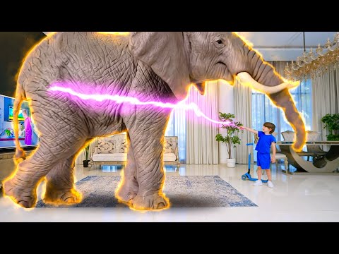 Wilde dieren verstoppertje in huis! 🙈 Leer namen & weetjes