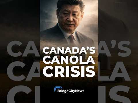 China Keeps Targeting Canadian Canola—Why? | Brian Lilley