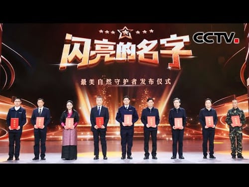 如何让天更蓝、地更绿、水更清?他们用行动打造“美丽中国”最美画卷 | CCTV「闪亮的名字」20260312