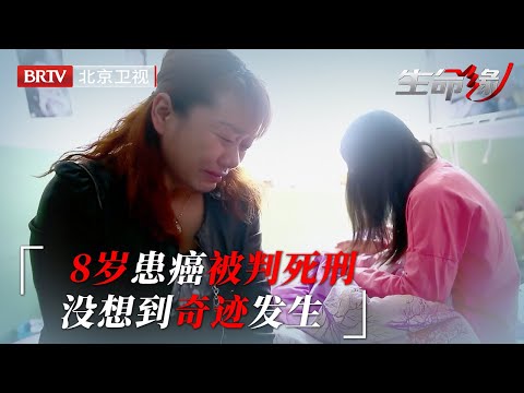 8岁患癌被判死刑,生命只剩三个月,没想到奇迹发生【生命缘第4季】